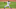 Chris Archer Chris Archer