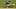 New York Mets New York Mets