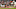 washington nationals washington nationals