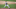 washington nationals washington nationals
