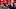 MLB: Washington Nationals-Press Conference MLB: Washington Nationals-Press Conference