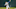 dodgers dodgers