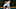 dodgers