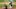 Dodgers Dodgers