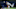 dodgers dodgers