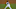 Dodgers