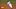 (Photo by Harry How/Getty Images) – Los Angeles Dodgers (Photo by Harry How/Getty Images) – Los Angeles Dodgers