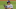 Dodgers Dodgers