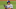 Dodgers Dodgers