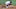 Dodgers Dodgers