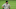 Dodgers
