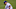 Dodgers Dodgers