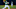 Sheldon Neuse #64 of the Oakland Athletics (Photo by Daniel Shirey/Getty Images)