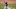 Dodgers
