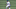 Gavin Lux #9 of the Los Angeles Dodgers (Photo by John McCoy/Getty Images)