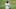 Dodgers Dodgers