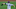 Dodgers Dodgers