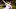 Dodgers Dodgers