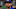 Dodgers Dodgers