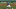 Dodgers Dodgers
