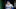 dodgers dodgers