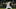 White Sox