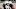 EAST LANSING, MI – SEPTEMBER 29: Raequan Williams #99 of the Michigan State Spartans prepares for a second-half play while playing the Central Michigan Chippewas at Spartan Stadium on September 29, 2018, in East Lansing, Michigan. (Photo by Gregory Shamus/Getty Images) EAST LANSING, MI – SEPTEMBER 29: Raequan Williams #99 of the Michigan State Spartans prepares for a second-half play while playing the Central Michigan Chippewas at Spartan Stadium on September 29, 2018, in East Lansing, Michigan. (Photo by Gregory Shamus/Getty Images)