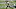 INDIANAPOLIS, INDIANA – NOVEMBER 08: Lamar Jackson #8 of the Baltimore Ravens looks to pass against the Indianapolis Colts during the second half at Lucas Oil Stadium on November 08, 2020 in Indianapolis, Indiana. (Photo by Michael Hickey/Getty Images) INDIANAPOLIS, INDIANA – NOVEMBER 08: Lamar Jackson #8 of the Baltimore Ravens looks to pass against the Indianapolis Colts during the second half at Lucas Oil Stadium on November 08, 2020 in Indianapolis, Indiana. (Photo by Michael Hickey/Getty Images)