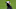 Baltimore Ravens Baltimore Ravens