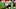 Baltimore Ravens Baltimore Ravens