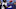 BALTIMORE, MD – AUGUST 10: Running back Taquan Mizzell BALTIMORE, MD – AUGUST 10: Running back Taquan Mizzell