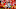 Kansas City Chiefs Defensive End Kansas City Chiefs Defensive End
