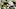 ANN ARBOR, MICHIGAN – NOVEMBER 30: Cesar Ruiz #51 prepares to snap the ball during the second half of a college football game against the Ohio State Buckeyes at Michigan Stadium on November 30, 2019, in Ann Arbor, MI. The Ohio State Buckeyes won the game 56-27 over the Michigan Wolverines. (Photo by Aaron J. Thornton/Getty Images) ANN ARBOR, MICHIGAN – NOVEMBER 30: Cesar Ruiz #51 prepares to snap the ball during the second half of a college football game against the Ohio State Buckeyes at Michigan Stadium on November 30, 2019, in Ann Arbor, MI. The Ohio State Buckeyes won the game 56-27 over the Michigan Wolverines. (Photo by Aaron J. Thornton/Getty Images)