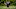 Baltimore Ravens Baltimore Ravens