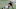 Ravens Ravens