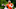 Ravens, Deshaun Watson Ravens, Deshaun Watson