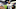 Baltimore Ravens Baltimore Ravens
