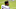 Ravens, James Proche Ravens, James Proche
