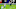 Baltimore Ravens Baltimore Ravens