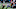 Baltimore Ravens Baltimore Ravens