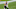 Ravens, Zach Ertz Ravens, Zach Ertz