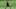 Ravens, Tyler Huntley Ravens, Tyler Huntley