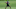 Ravens Ravens