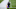 Ravens, James Proche Ravens, James Proche
