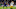 Ravens, Tyler Huntley Ravens, Tyler Huntley
