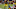 NFL: New York Giants at Washington Redskins NFL: New York Giants at Washington Redskins