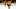 Jun 11, 2017; Nashville, TN, USA; Nashville Predators left wing James Neal (18) and center Mike Fisher (12) react after an empty net goal by Pittsburgh Penguins left wing Carl Hagelin (not pictured) in the third period in game six of the 2017 Stanley Cup Final at Bridgestone Arena. Mandatory Credit: Jerry Lai-USA TODAY Sports