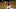 San Diego Padres Draft; Jeff Criswell San Diego Padres Draft; Jeff Criswell