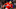 Mookie Betts #50 of the Boston Red Sox. (Photo by Adam Glanzman/Getty Images) Mookie Betts #50 of the Boston Red Sox. (Photo by Adam Glanzman/Getty Images)