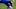 Dec 20, 2015; East Rutherford, NJ, USA; New York Giants wide receiver Odell Beckham Jr. (13) wears Christmas themed cleats during warm ups before a game against the Carolina Panthers at MetLife Stadium. Mandatory Credit: Brad Penner-USA TODAY Sports Dec 20, 2015; East Rutherford, NJ, USA; New York Giants wide receiver Odell Beckham Jr. (13) wears Christmas themed cleats during warm ups before a game against the Carolina Panthers at MetLife Stadium. Mandatory Credit: Brad Penner-USA TODAY Sports